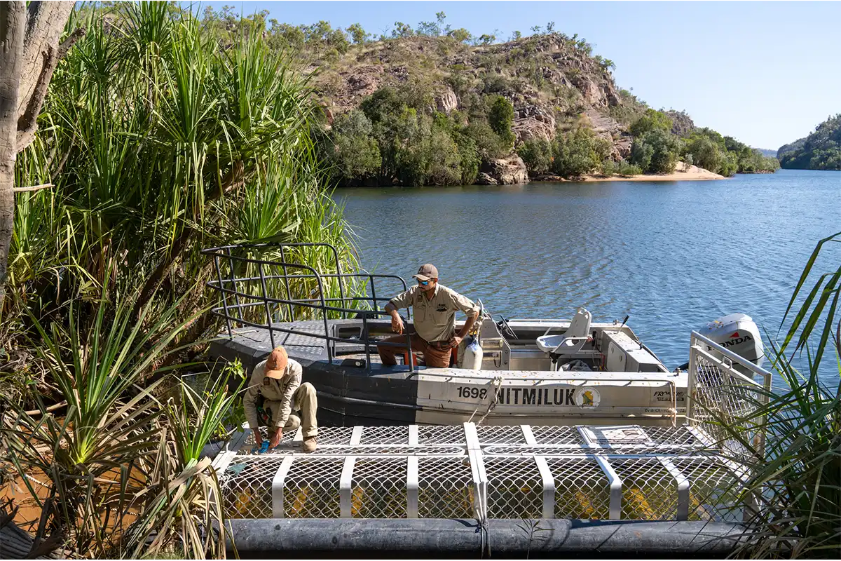 Trapping crocodiles